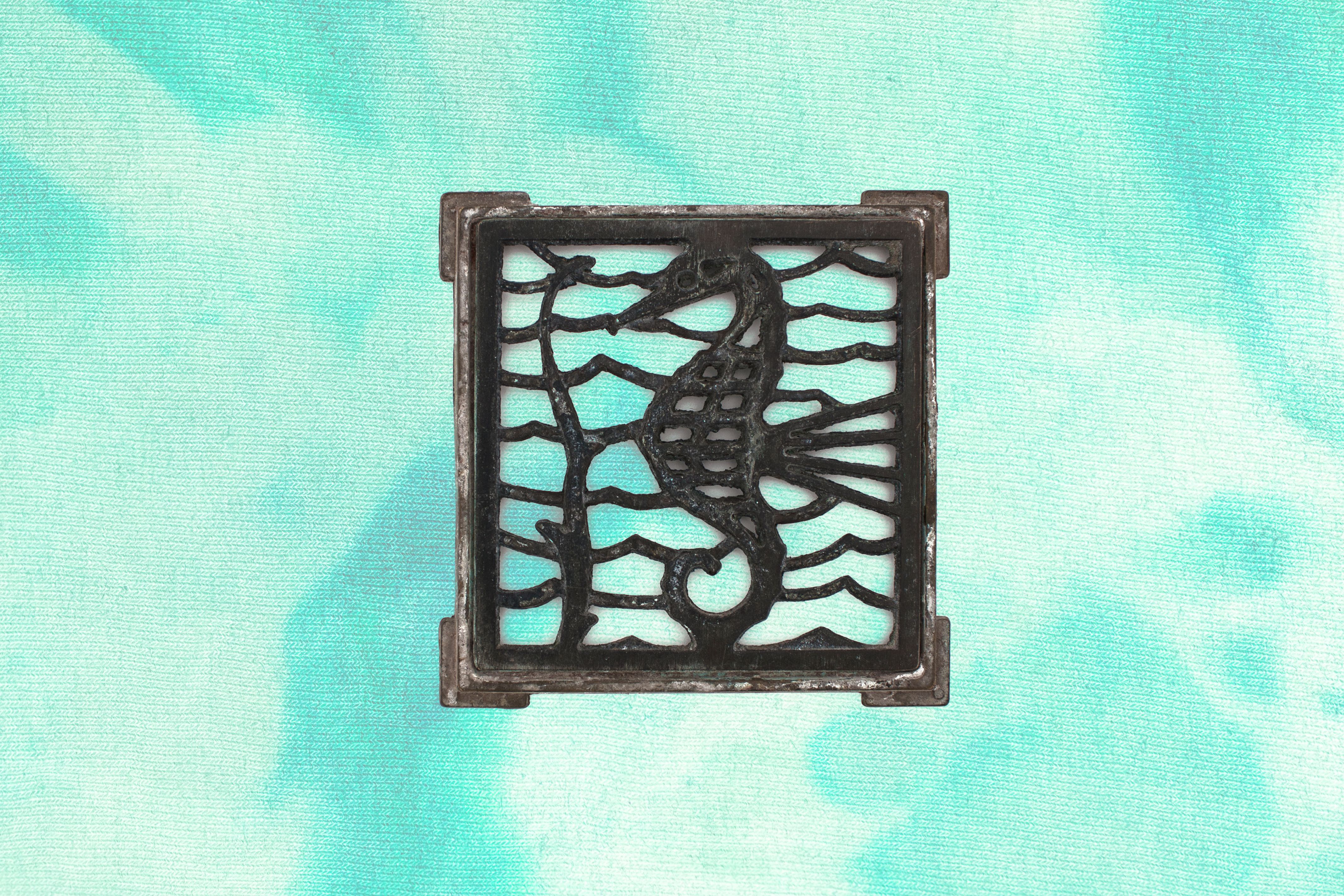 caballito de mar.jpg