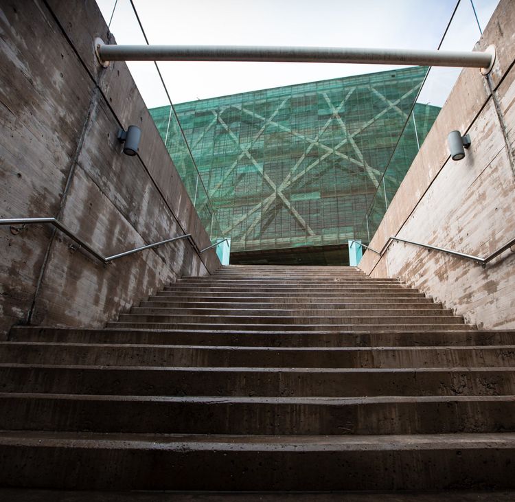 Visitas Museo De Arte